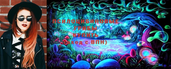 PSILOCYBIN Магас