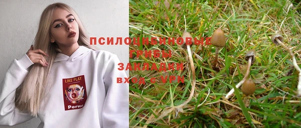 экстази Анива