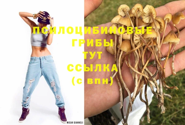 PSILOCYBIN Магас
