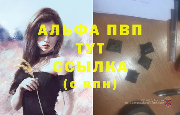 PSILOCYBIN Магас