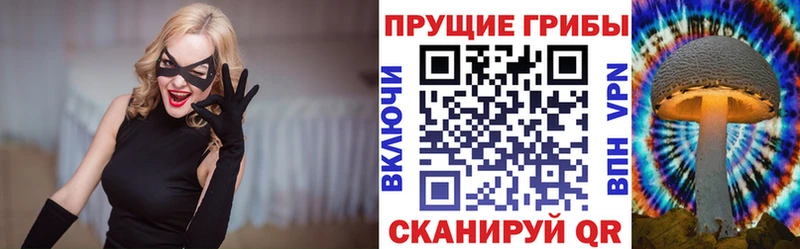 где купить наркоту  Ильский  Псилоцибиновые грибы ЛСД 