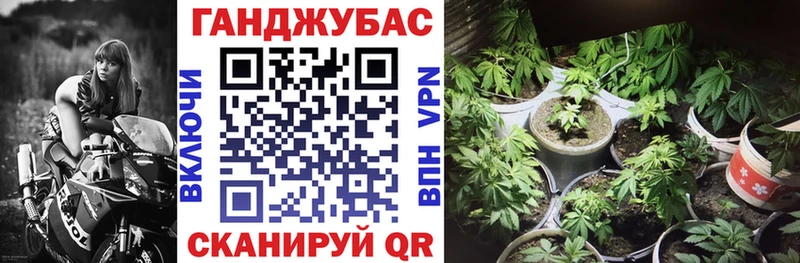 Бошки Шишки THC 21%  что такое наркотик  kraken онион  Ильский 
